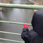 phoca_thumb_m_s.k.  1 Fotogalerie